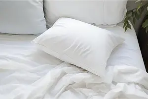 Polyester Hollow Fiber-VIRGIN